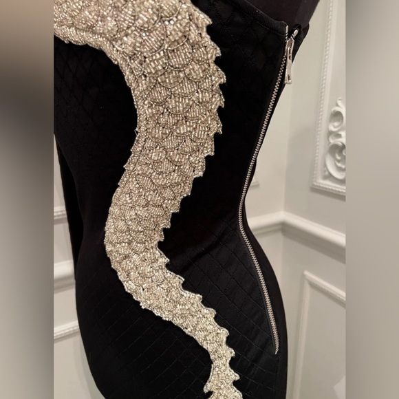 NFS - HOLD - 2019 Fall Collection - BALMAIN one shoulder dragon dress size 6 - Picture 4 of 4